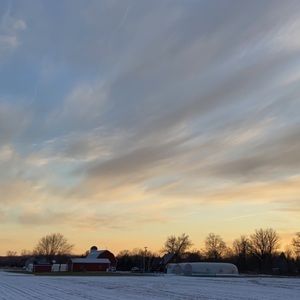 Meet your Posher, Livia